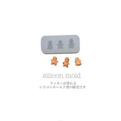 No.2493 ミニチュア　デコパーツ　シリコンモールド