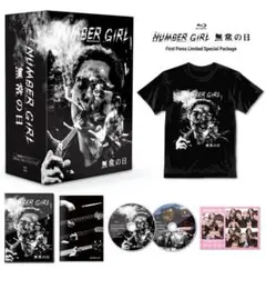 NUMBER GIRL ピンバッジセット 15個セット NUMBER GIRL ピンバッジセット 15個セット