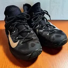 Item thumbnail for item fc57c9d7-7749-4897-b373-d8d0473a3c2d