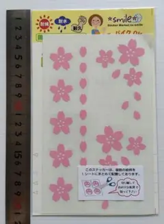 Item thumbnail for item fd735534-5251-43e9-8b76-671a8d6a6924