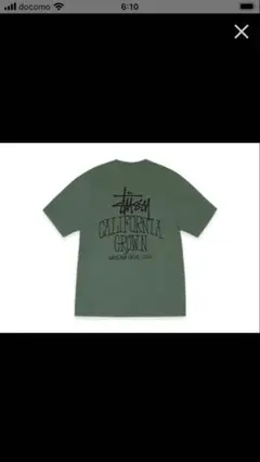 Stussy Cali Grown Tee Pigment Dyed "Pine