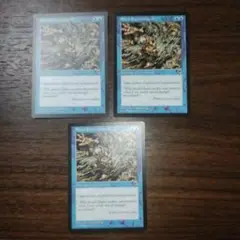 エンチャント奪取　3枚セット　mtg マジック