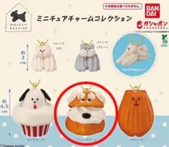 Maison terrier ミニチュアチャームコレクション