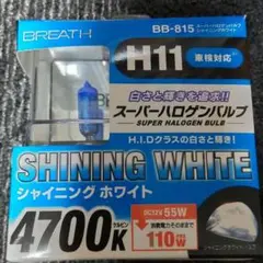 スーパーハロゲンバルブ H11