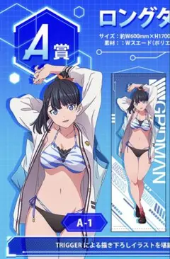 南夢芽 A賞 水着 ロングタペストリー 【新品】 2025年最新】南夢芽 ロングタペストリーの人気アイテム - メルカリ