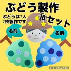ぶどう製作キット　秋の製作　9月製作　施設　保育　9月壁面飾り　10月壁面飾り