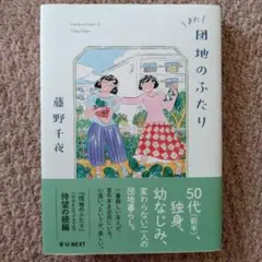 また団地のふたり 藤野千夜 著