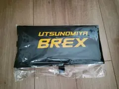 UTSUNOMIYA BREX ファンクラブ特典 シートクッション