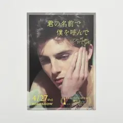 君の名前で僕を呼んで パンフレット 豪華版 通常版 写真750点掲載『君の名前で僕を呼んで』豪華版パンフレット数量