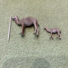 動物フィギュアセット