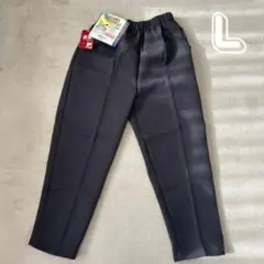 Item thumbnail for item 113626b9-90e9-4f86-a967-4fcb938c4808