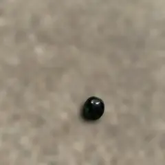 エメラルド カボションカット