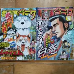 週刊漫画ゴラク　7/25・8/1　２冊セット