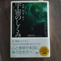 宇宙のしくみを使えば、すべてがうまくいくようになっている 意識・潜象・量子 奇…