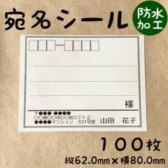 宛名シール 防水加工 大きめ 100枚 お買い得 シンプル 枠あり① RSY-3