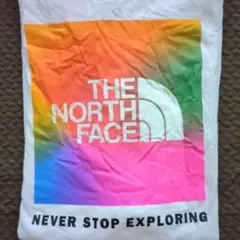 THE NORTH FACE グラデーション Tシャツ