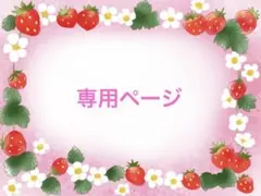 専用ページ