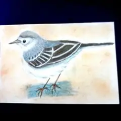 ビンさま専用　日本固有種　セグロセキレイ　木彫りの野鳥　野鳥彫刻 ビンさま専用 日本固有種 セグロセキレイ 木彫りの野鳥 野鳥彫刻