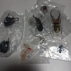 一番くじ 昆虫　アクリルキーホルダー