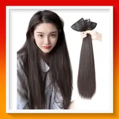 【新品未使用】ウィッグ ロングストレート エクステ つけ毛 ダークブラウン