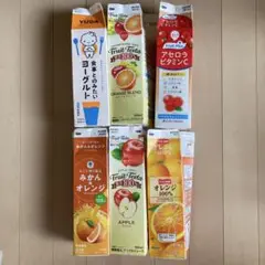 ジュースの空き容器　紙パック　パック　郵送