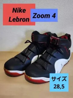 Nike Lebron zoom 4
