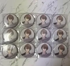 加賀美ハヤト welcome goods 缶バッジ 12点セット