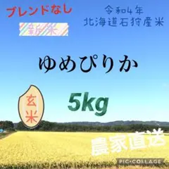 玄米5kg ゆめぴりか 令和4年北海道産