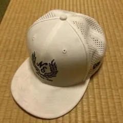 Item thumbnail for item 879d3336-bd98-43a7-ad57-f14d49d69c91