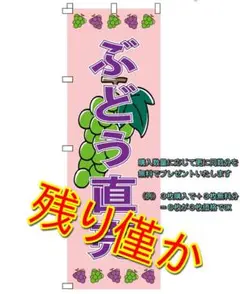 のぼり旗 ぶどう直売 シャインマスカット （購入枚数と同数分を無料でプレゼント）