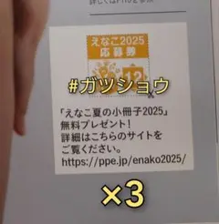 EX 大衆 2025年9月号 えなこ夏表紙ジャック 応募券 3枚