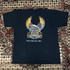 90s 00s Harley Davidson ヴィンテージシャツ 両面 L