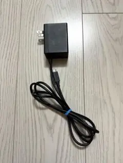 Nintendo Switch コンセント　純正