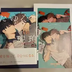 たゆたう琥珀 (2) コミコミリーフレット、ペーパー付き