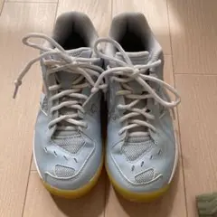 Item thumbnail for item 8660f555-3292-4588-bc44-faf104b03dad