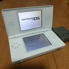 ニンテンドーDS Lite ホワイト 本体 充電器付き。