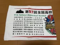 【97回夏/2015年】全国高校野球選手権大会タオル