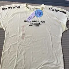 Tシャツ 160サイズ