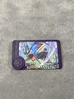 ポケモンフレンダ　ギャラドス　スーパートレジャー　フレンダピック