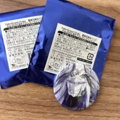 FGO fes 2025 缶バッジ 源為朝 2個セット