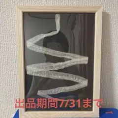 ヘビの抜け殻アート