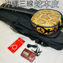 【美品】沖縄 三線 本蛇皮 セミハードケース 黒塗り 三味線