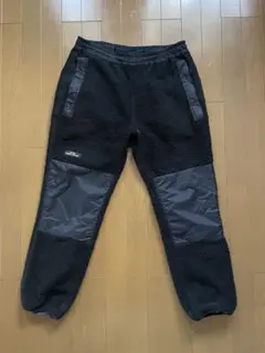 ステューシー　Pコート　ウィンドストッパー STUSSY ステューシー GORE WINDSTOPPER ゴア ウィンドストッパー