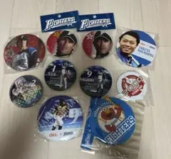 北海道日本ハムファイターズ　缶バッジ　10個　野球　日ハム