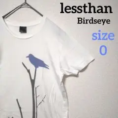 レス・ザン・ゼロ　バーズアイ　Tシャツ　lessthan birdseye