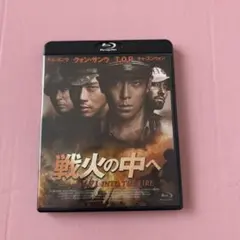 戦火の中へ('10韓国)