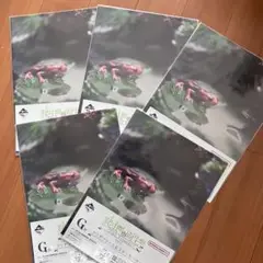 一番くじ 爬虫類&両生類　クリアファイル＆ステッカーセット　 アカハライモリ