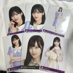 Item thumbnail for item 69567837-50b1-45d3-bf60-5a3b228ee909