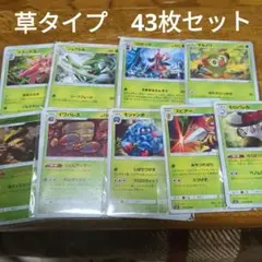 ポケモンカード　草タイプ　43枚セット