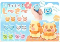 ぷかぷか ちゅらゆるしーさー 全種セット②
